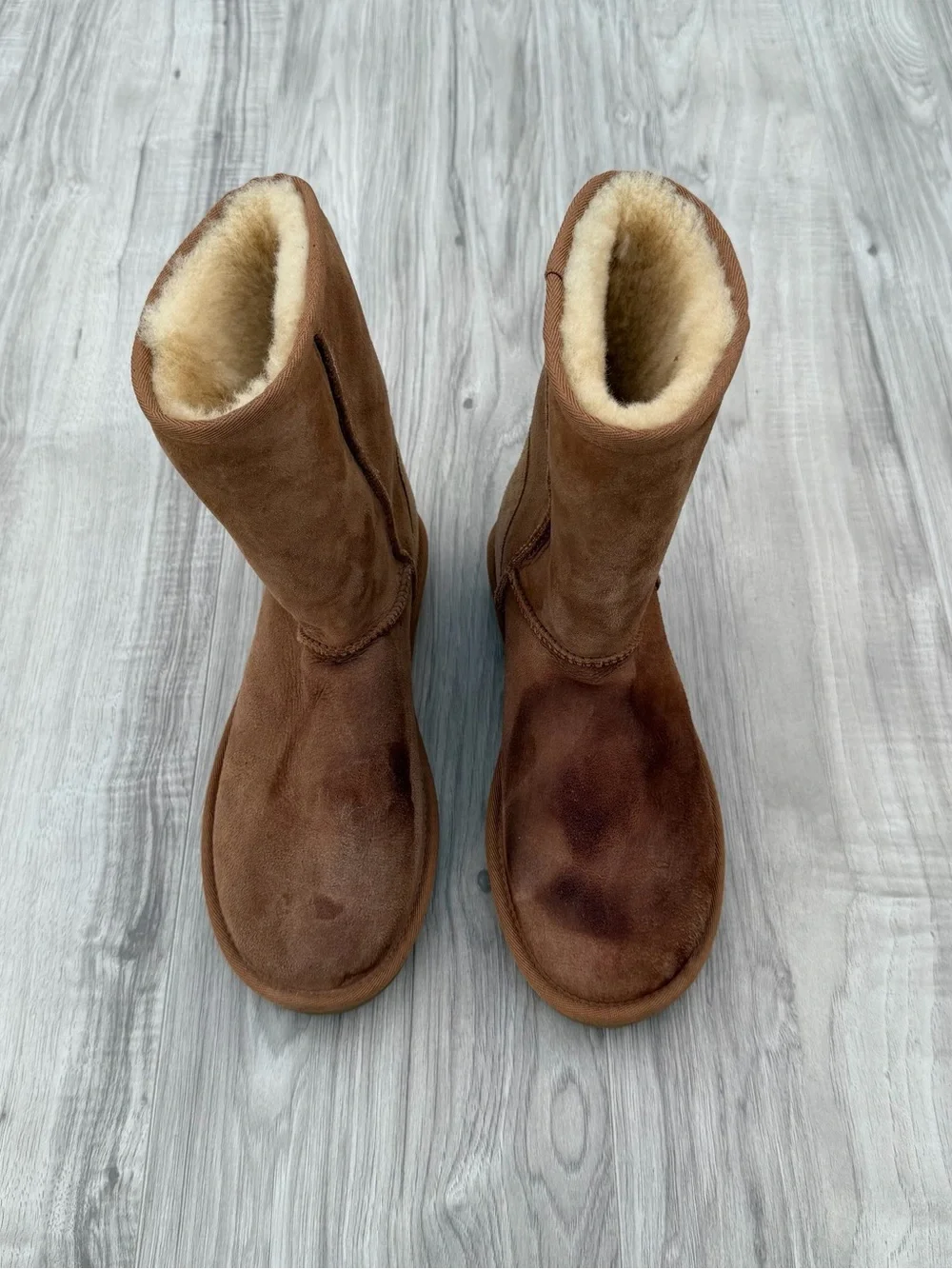 UGG Women's Classic Short II Boots in the color chestnut